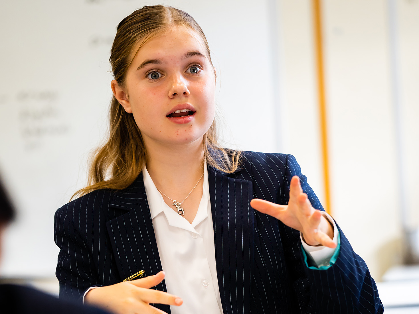 OriginalImage,,,Original