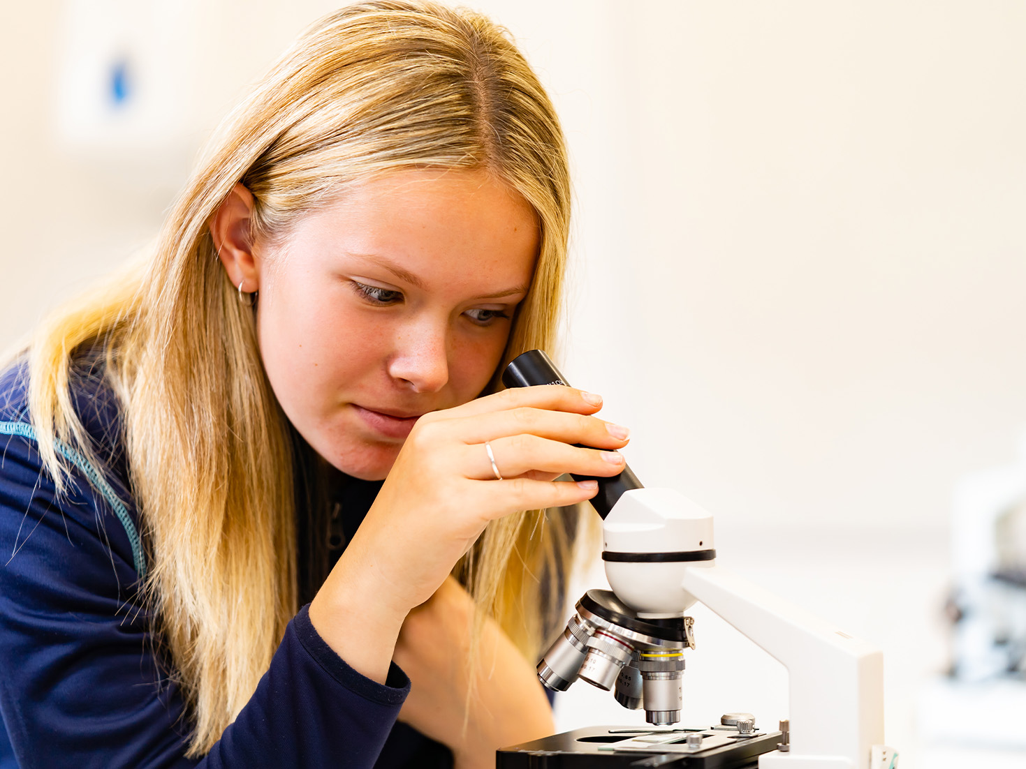 OriginalImage,,,Original