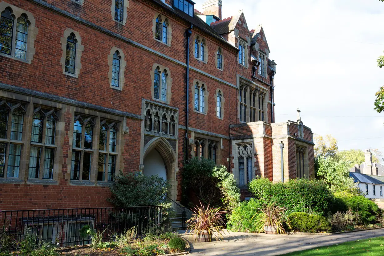  OptimizedImage,Optimized