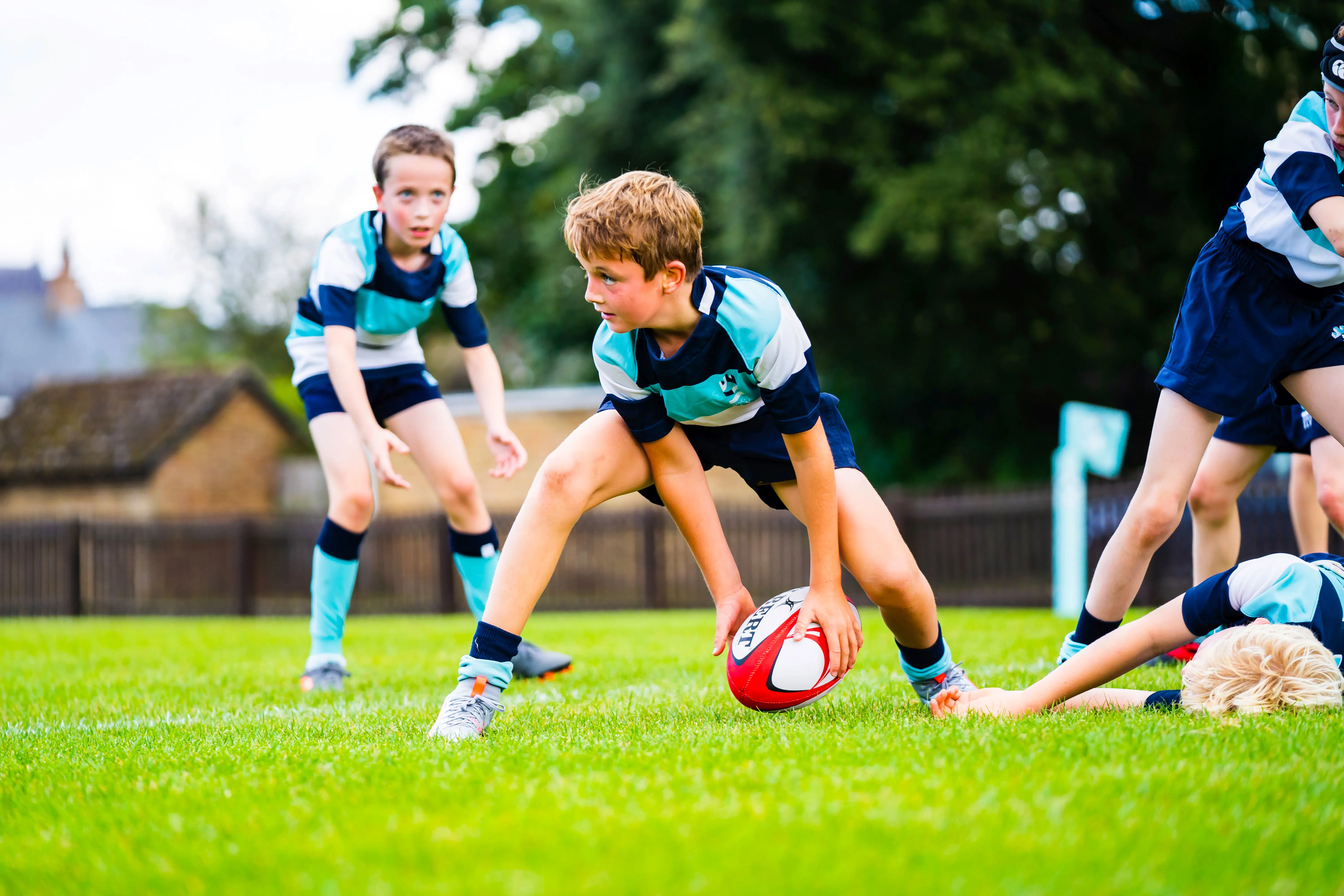 OptimizedImage,Optimized